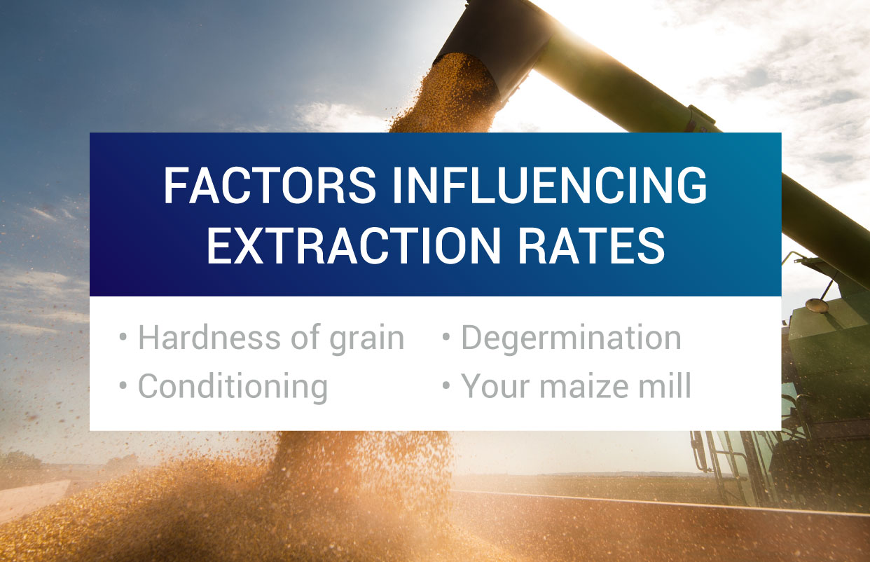 extraction-rate-a-key-consideration-when-investing-in-a-maize-mill